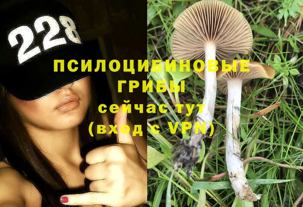 прущие крисы Алзамай