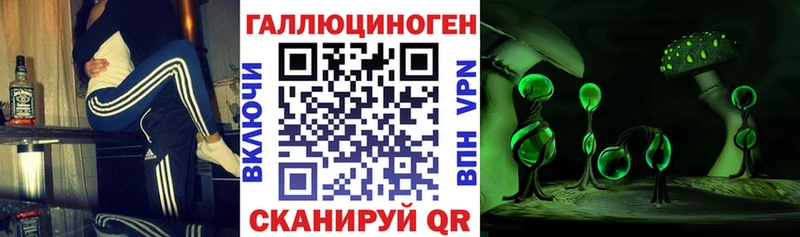 Псилоцибиновые грибы Psilocybe Арзамас