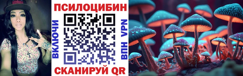 Галлюциногенные грибы Psilocybine cubensis Арзамас